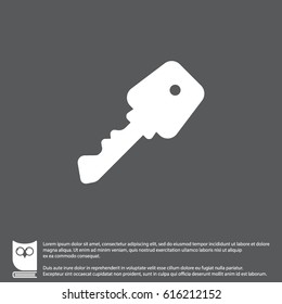 Web icon. Key. vector illustration