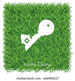 Web icon. Key. vector illustration