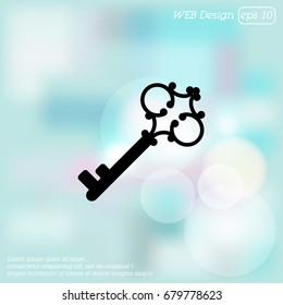 Web icon. Key. vector illustration
