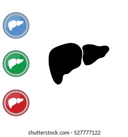 Web icon. Liver