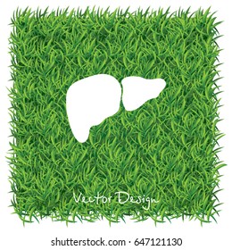 Web icon. Liver. vector illustration
