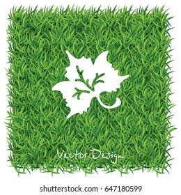 Web icon. Maple leaf, tree leaf