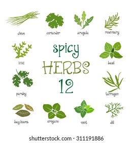 Web icon set of different spicy herbs