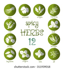 Web icon set of different spicy herbs