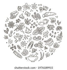 Web icon set - spices, condiments and herbs