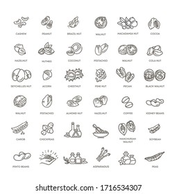 web icons collection - nuts, beans and seed.