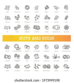 web icons collection - nuts, beans and seed.