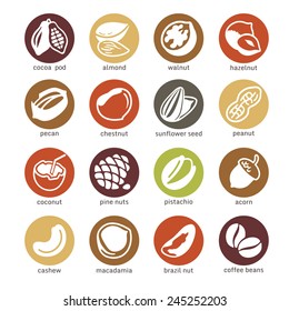web icons collection - nuts, beans and seed