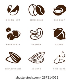 Web icons collection nuts, beans and seed vector