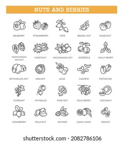 Web icons collection - nuts and berries. Vector symbols