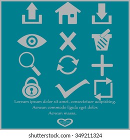 Web icons. edit and customize