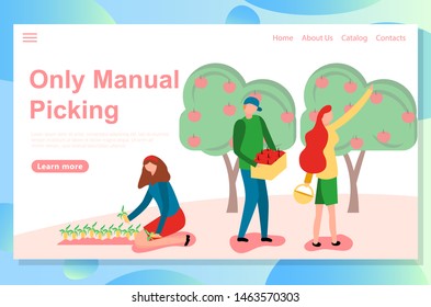 Web landing page design template for eco farm theme. Planting and carrying vegetables, harvesting.