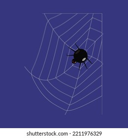 web in the left corner with a spider on a dark background