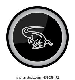 Web line icon. Alligator, crocodile; wild animals