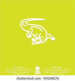 Web line icon. Alligator, crocodile; wild animals