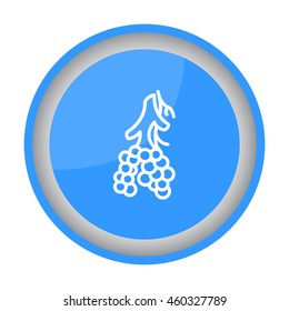 Web line icon. Alveolus
