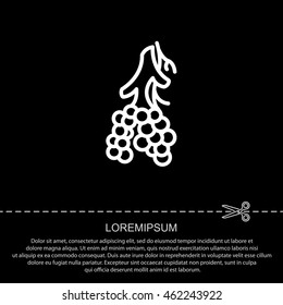 Web line icon. Alveolus