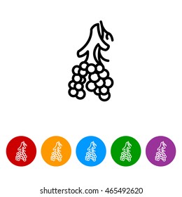 Web line icon. Alveolus