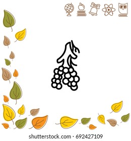 Web line icon. Alveolus