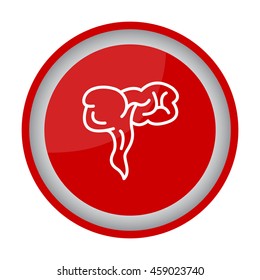 Web line icon. Appendix