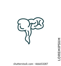 Web line icon. Appendix