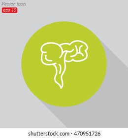 Web line icon. Appendix