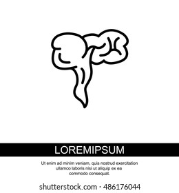 Web line icon. Appendix