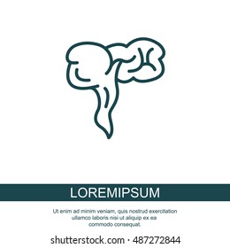 Web line icon. Appendix