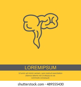 Web line icon. Appendix