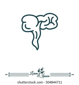 Web line icon. Appendix