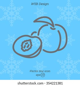 Web line icon. Apricot