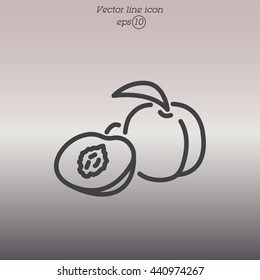Web line icon. Apricot