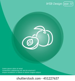 Web line icon. Apricot