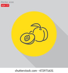 Web line icon. Apricot