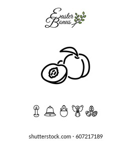 Web line icon. Apricot