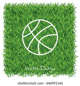 Web line icon. Basketball