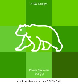 Web line icon. Bear; wild animals