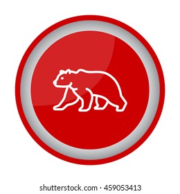Web line icon. Bear; wild animals