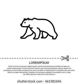 Web line icon. Bear; wild animals