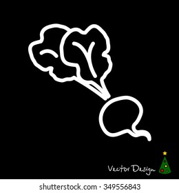 Web line icon. Beet, beetroot