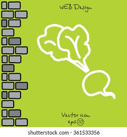 Web line icon. Beet, beetroot