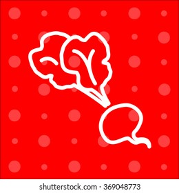 Web line icon. Beet, beetroot