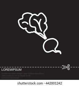 Web line icon. Beet, beetroot