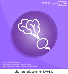 Web line icon. Beet, beetroot
