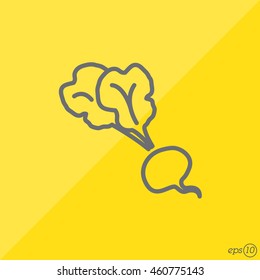 Web line icon. Beet, beetroot