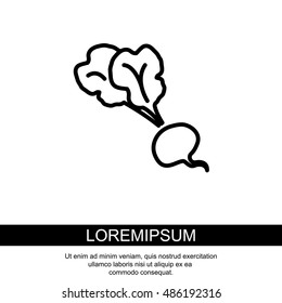 Web line icon. Beet, beetroot