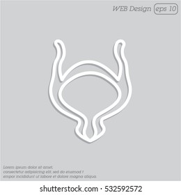 Web line icon. Bladder