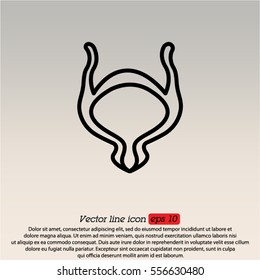 Web line icon. Bladder