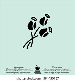 Web line icon. Bouquet of roses.