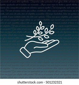 Web line icon. A branch in the hand